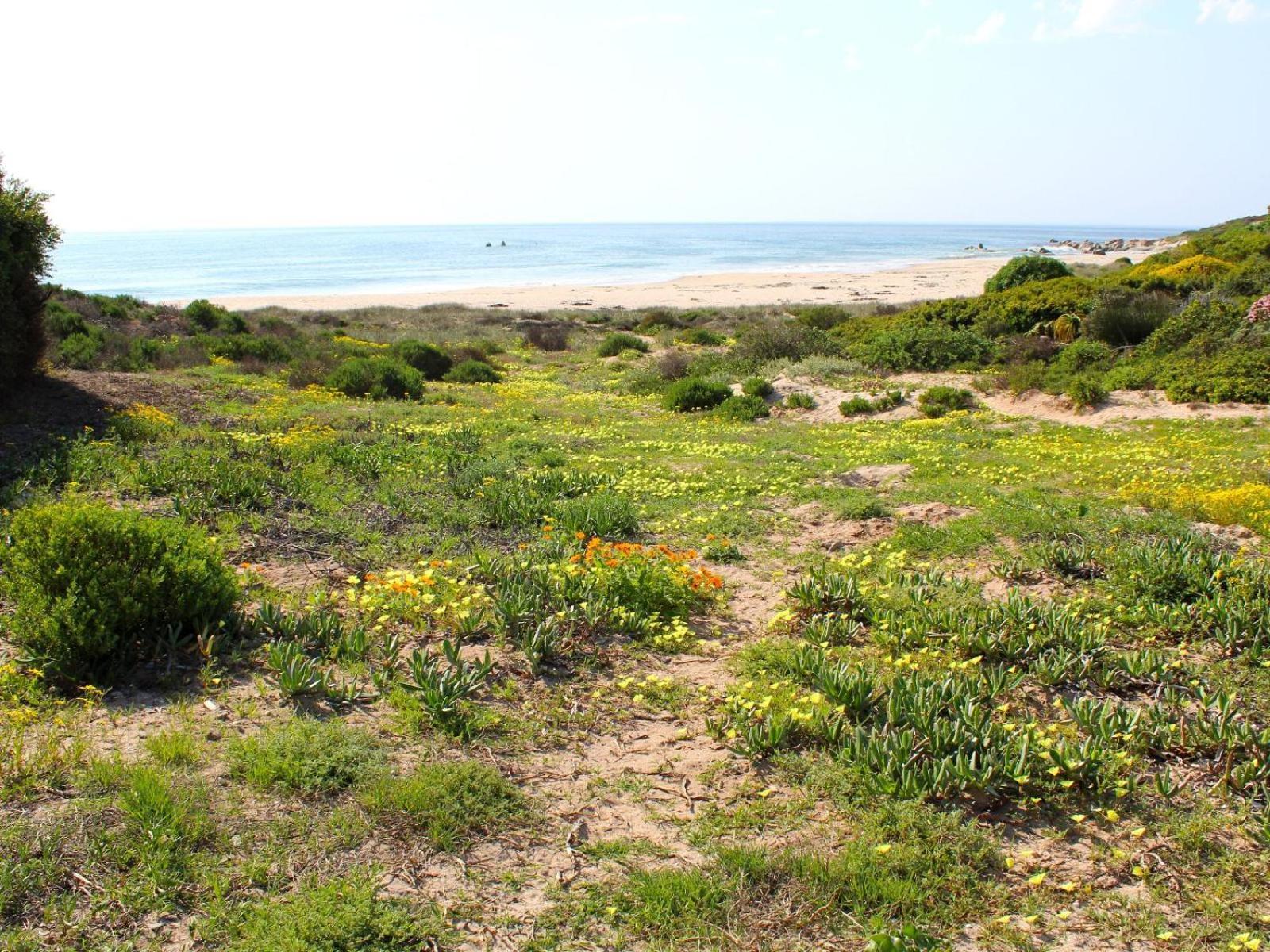 Stompneusbaai Absolute Beach Accommodation מראה חיצוני תמונה