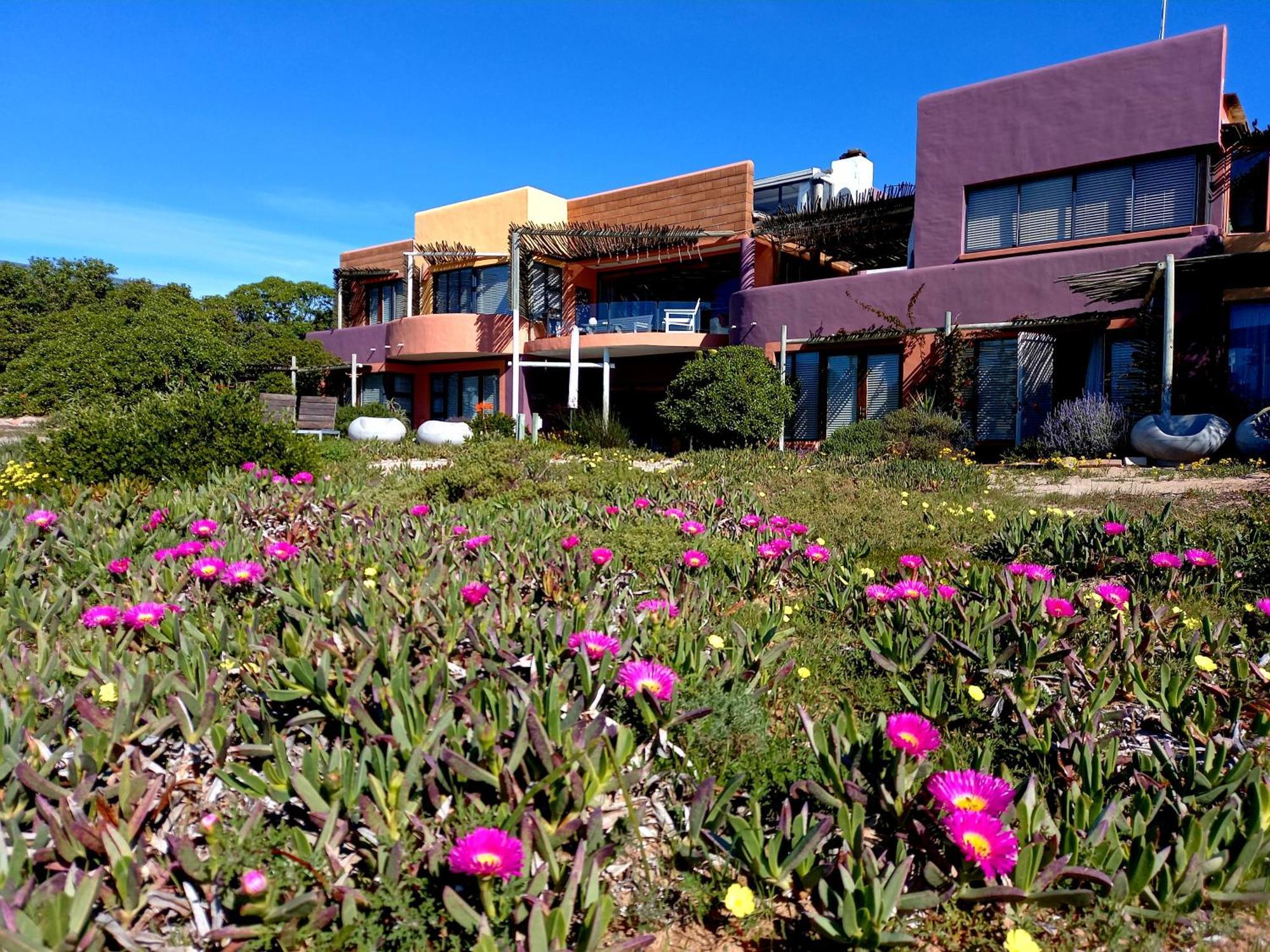 Stompneusbaai Absolute Beach Accommodation מראה חיצוני תמונה